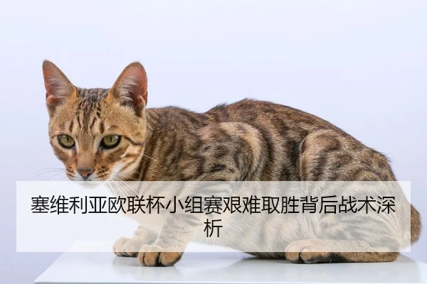 塞维利亚欧联杯小组赛艰难取胜背后战术深析 | Zhongou